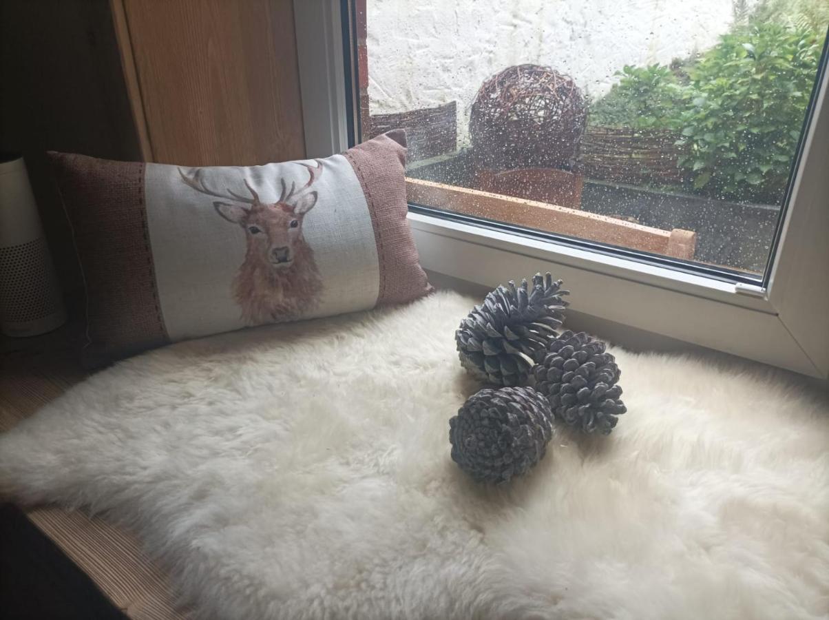 Harzglanz Fewo'S Kuschelbude Braunlage Luaran gambar